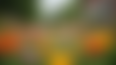 Join Our Gardening Events in El Cajon This Month