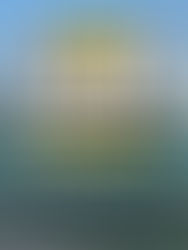 Summer Social at the Sailing Club