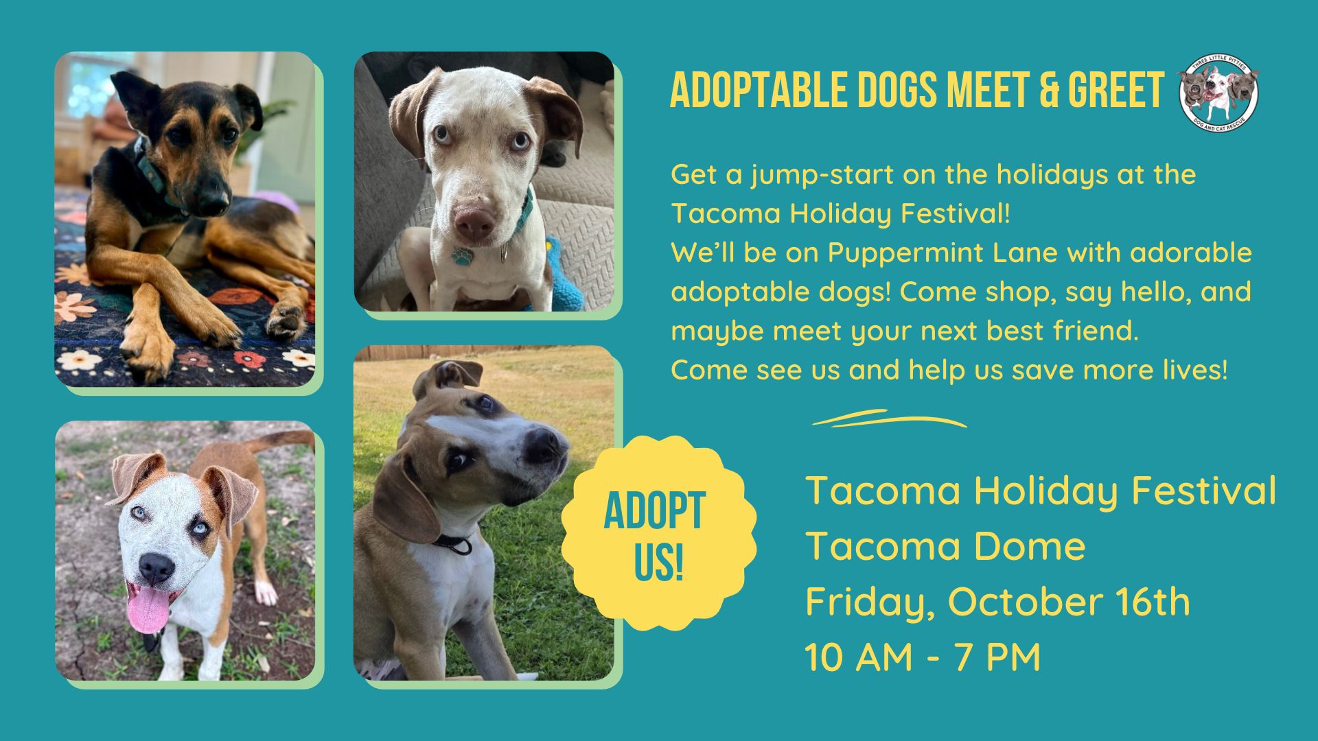 Adoptable Dogs Meet & Greet