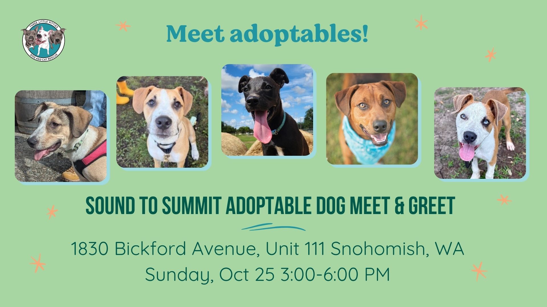 Sound to Summit Adoptable Dogs Meet & Greet