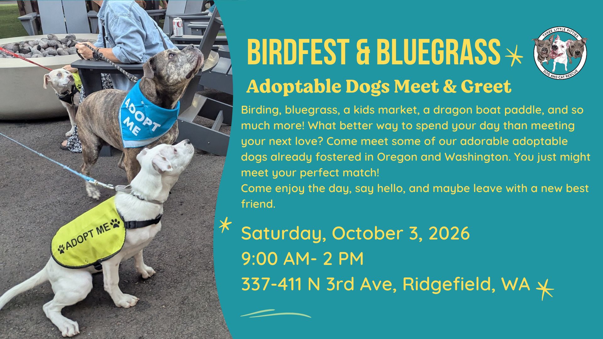 Birdfest &  Bluegrass - Adoptable Dogs Meet & Greet