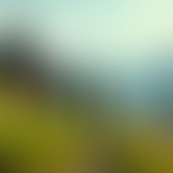 Solo Travel Opportunities for Youth: Exploring India with Like-Minded Adventurers