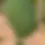 Thumbnail: Pedda Rasaal