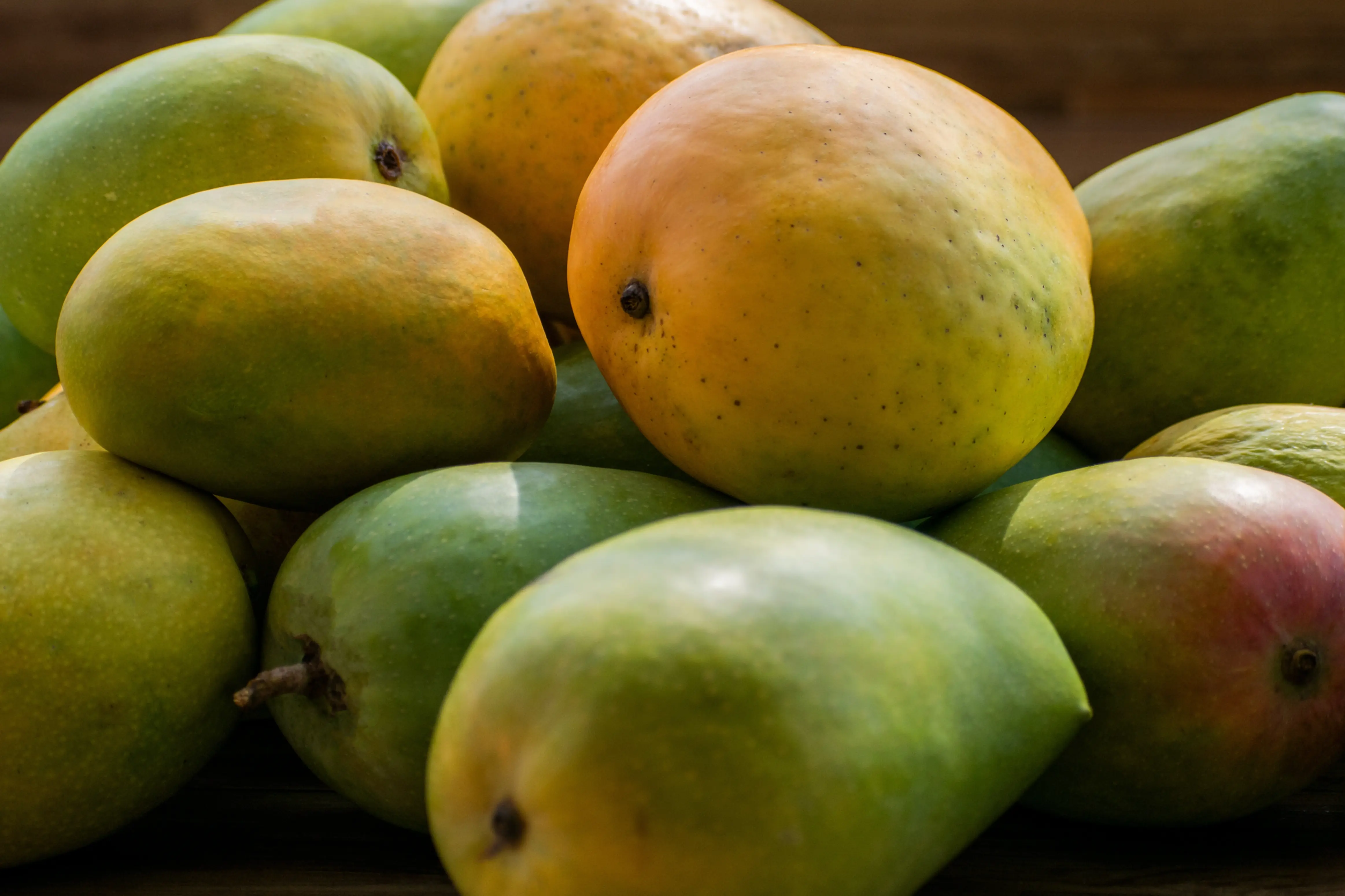 Different varieties of Mangoes