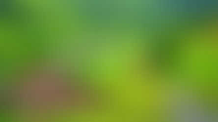 சுவிட்சர்லாந்து