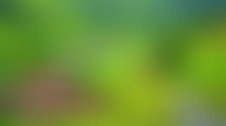 சுவிட்சர்லாந்து