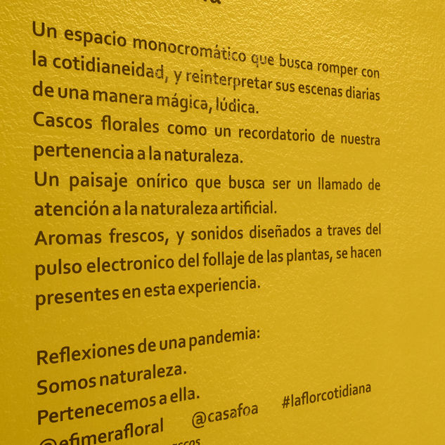 Concepto
