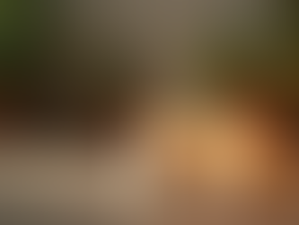 Descubra os Benefícios da Terapia Holística