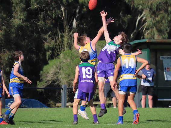 Boys rucking football in U12's AFL match