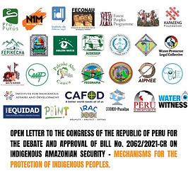 ENG Website Peru Open Letter.jpg
