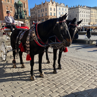 クラクフ旧市街Kraków Old Town