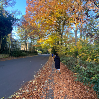 Roundhay Park
