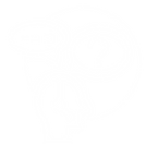 contact-tete.png