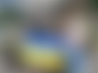Евакуаційний бус від "Нащадків" для 124-ї ТРО