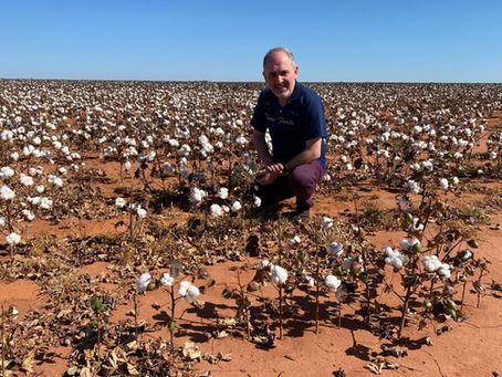 BOLETIM 1133 - Há muito a ser feito... 