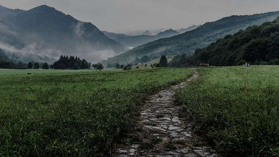 lili-popper-lu15z1m_KfM-unsplash_edited.