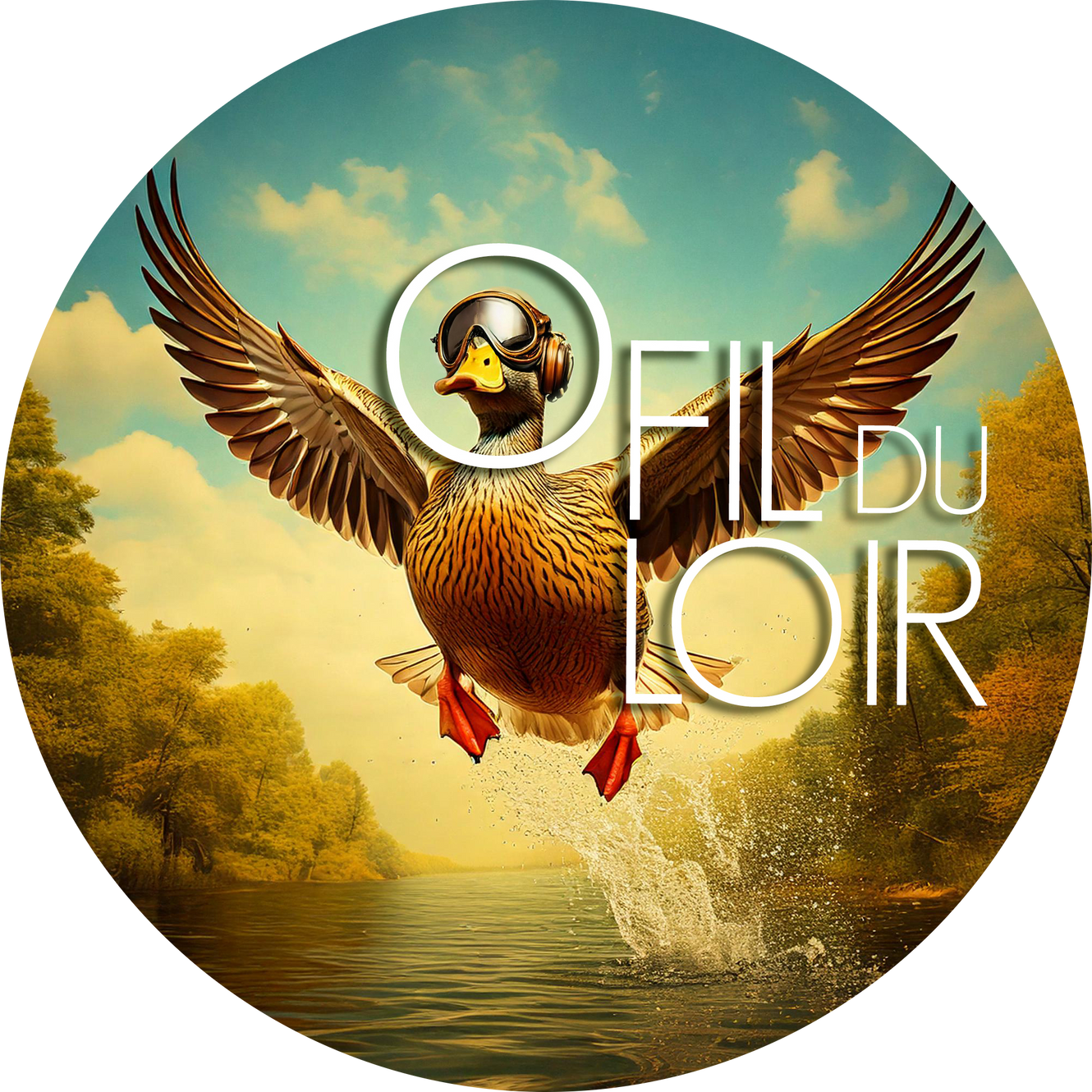 Affiche Festival O Fil Du Loir