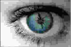 Una mirada interior