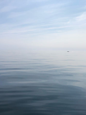 IMG_0348.jpeg