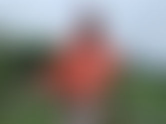 Pedro Peñafiel 45 años al cuidado del bosque de Mindo: ganar dinero no es el fin de la conservación