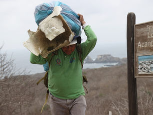 La isla de La Plata se cuida con el aporte de la comunidad