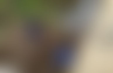 ¿Cuánto más tiene que llover para que no falte el agua en Puyo? 