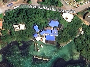 Galápagos: revocan licencia al Red Mangrove y notifican al estudio jurídico de la ministra del Ambiente 