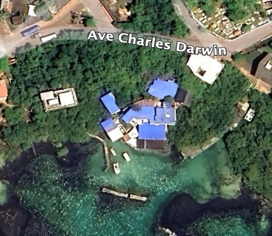 Galápagos: revocan licencia al Red Mangrove y notifican al estudio jurídico de la ministra del Ambiente 