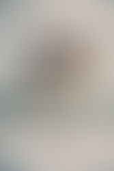 Editorial: El Apóstol pesquero que multiplicó los cupos… y las dudas