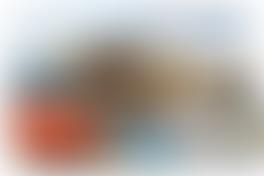 ¿Quién vigila al vigilante? Intereses imbricados en Canal Bolívar y el sistema de control de Galápagos