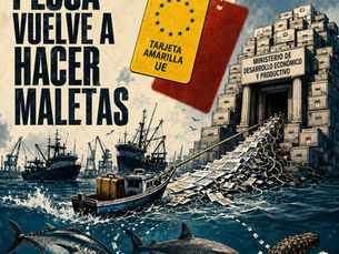 Pesca otra vez hace maletas: su estructura se decide mientras Ecuador sigue bajo tarjeta amarilla de la UE