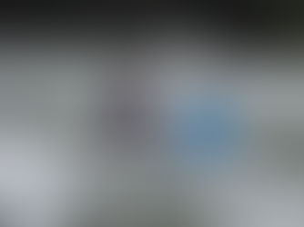 Manuel Bravo: el pionero de los Acuerdos de Uso Sustentable y Custodia del Manglar