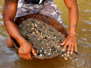 Divididos por el oro