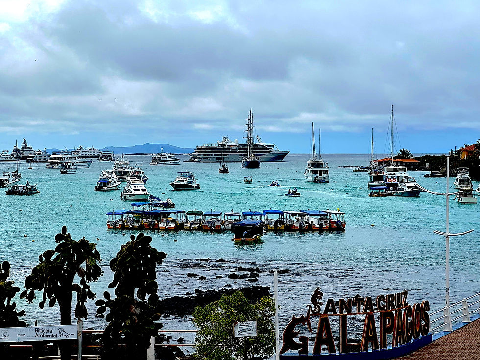 Puerto Ayora, isla Santa Cruz, Galápagos. Detrás de paisajes naturales hay un drama humano que se traduce en problemas de salud, indicios de corrupción con el agua que usan turistas e isleños. Foto: Franklin Vega