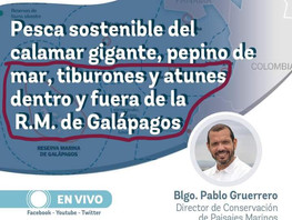 Pandas versus tiburones: ¿Por qué WWF respalda a la industria pesquera?