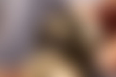 De comida de piratas a mascotas exóticas: el comercio mundial de tortugas Galápagos