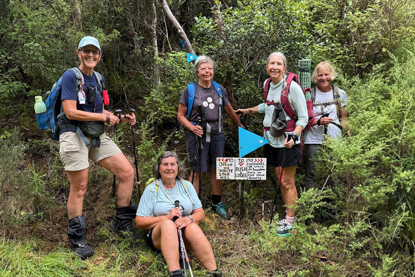 Hiking in a group of like-minded women