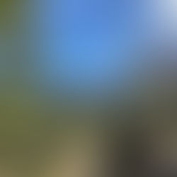 scenic mountain views