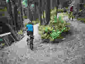 Cyclist near Cowboy Town on the West Coast Wilderness Trail