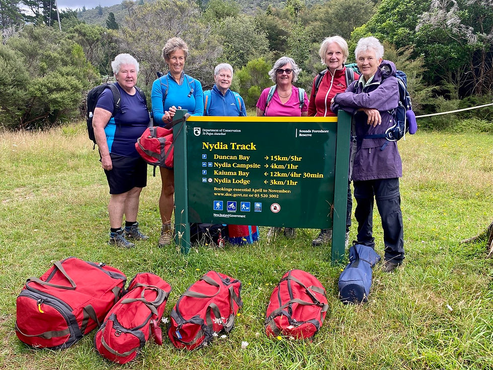 Luggage being transferred for hikers on the Nydia Track, allowing them to hike with daypacks only.