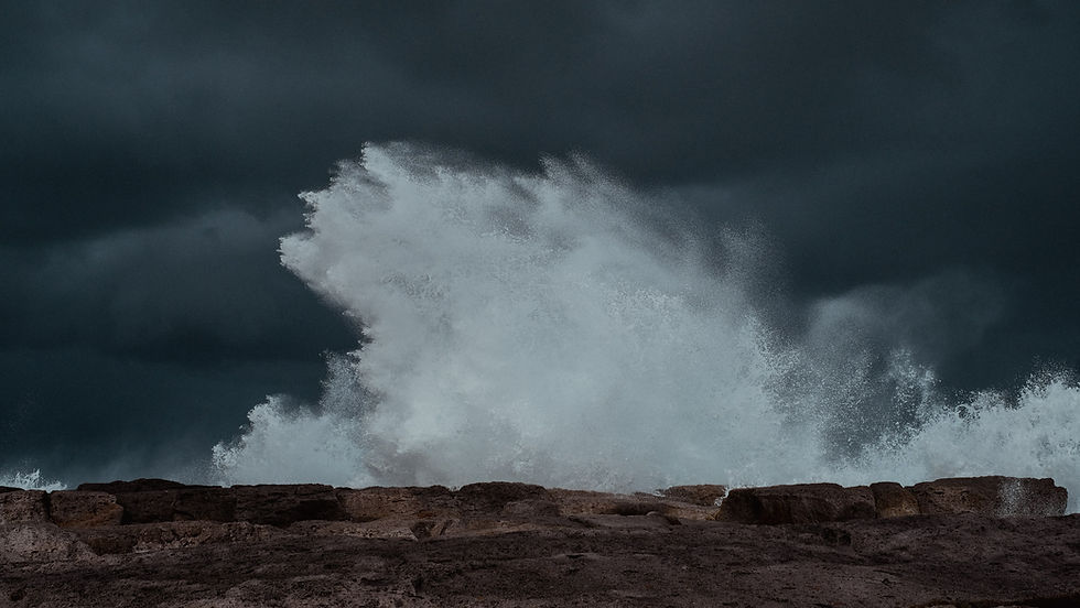 IL RACCONTO DELL'ISOLA SCONOSCIUTA // RESIDENZE ARTISTICHE // CARLOFORTE 2021