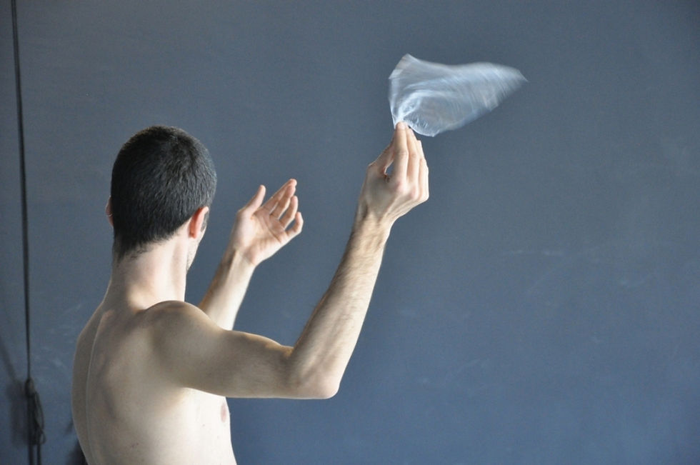 LE FOGLIE E IL VENTO