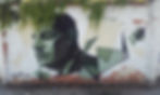 IPS ALBE STEINER