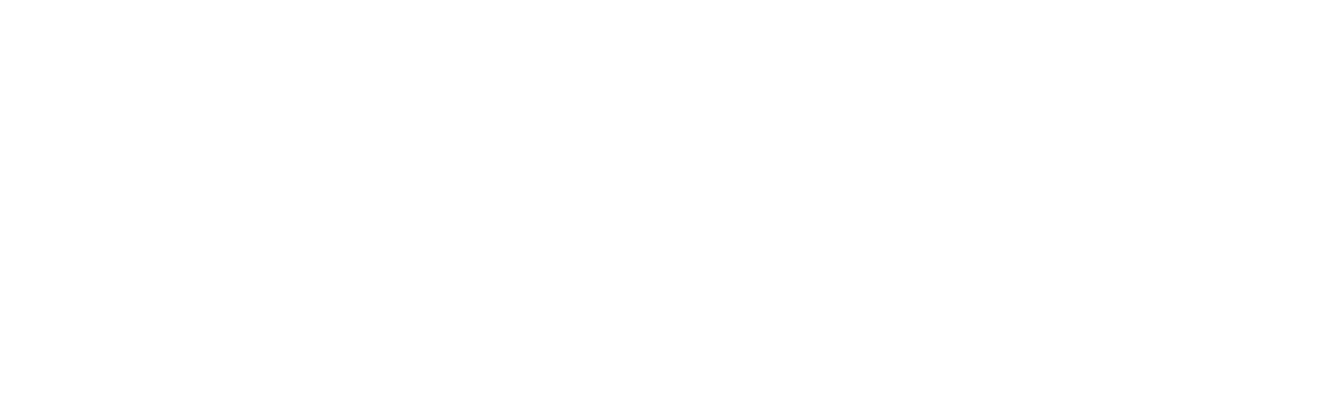 citta di torino negativo.png