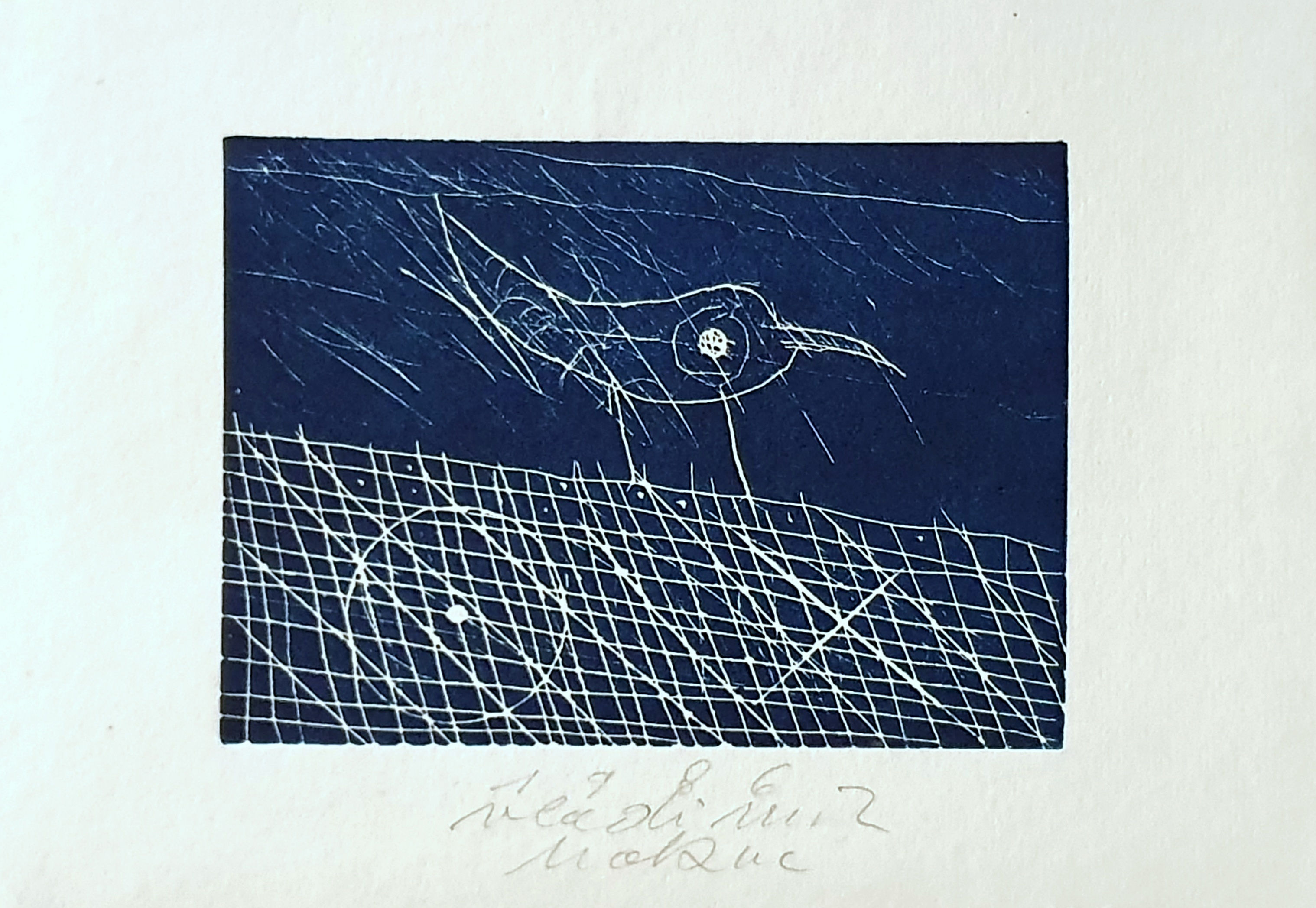 Vladimir Makuc: Ptica na ograji