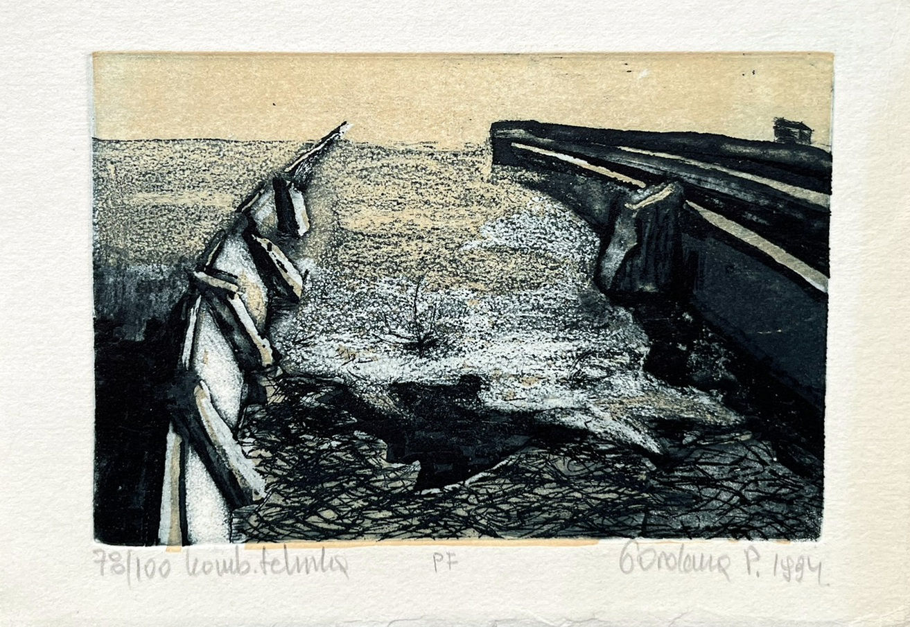 Gordana Petrovič: PF