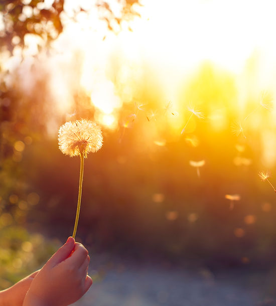 iStock-1224680154.jpg