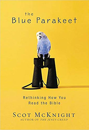 Blue Parakeet