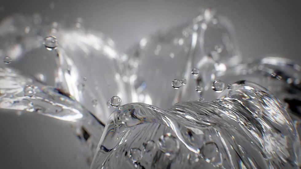 Flower_Tao_closeup_Comp_v01_001_firstframe.jpg