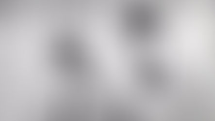 TONIGHT's Warriors for Life (WFL) - "Who's on First?"